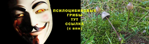 ПСИЛОЦИБИНОВЫЕ ГРИБЫ Няндома