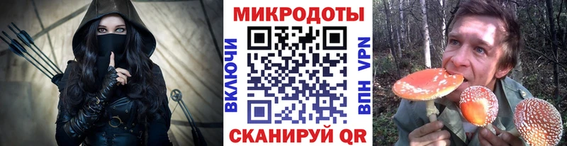 Галлюциногенные грибы Cubensis Аткарск